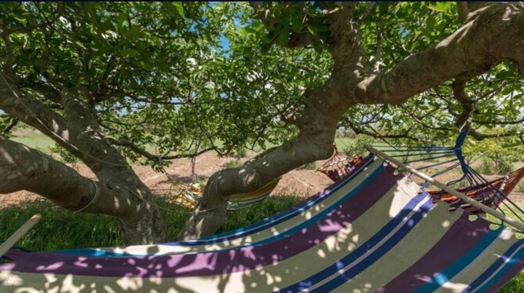 Le Cernicole Villa Melissano Buitenkant foto