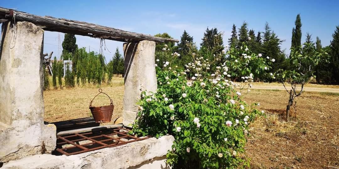 Le Cernicole Villa Melissano Buitenkant foto